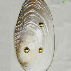 Alternative view of Mother of Pearl Dish Vietnam – Handmade Polished Seashell Dish with Brass Rim and Stand