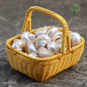 Alternative view of Pearl Polished Jade Turbo Shell from Vietnam