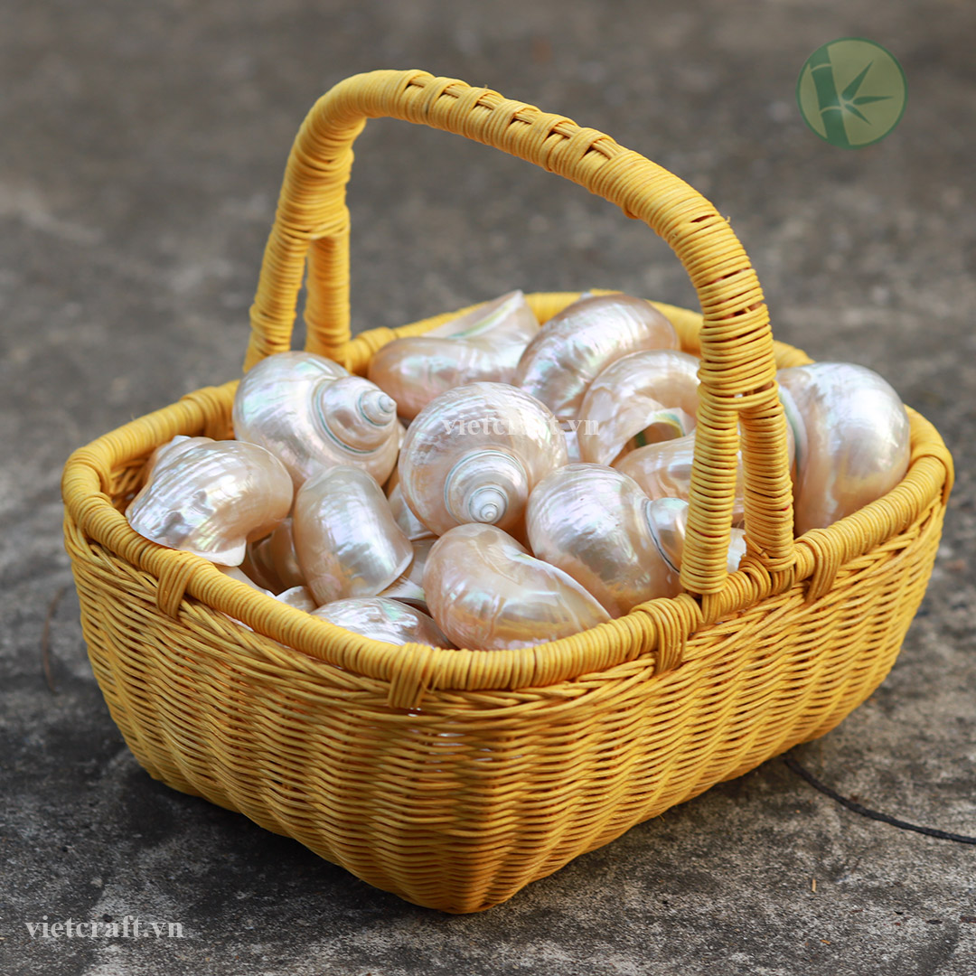 Pearl Polished Jade Turbo Shell from Vietnam - Image 2