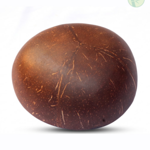 Alternative view of Hand-Painted Natural Coconut Shell Bowl – Sea Turtle Edition