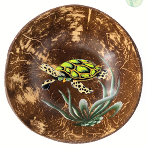 Hand-Painted Natural Coconut Shell Bowl – Sea Turtle Edition