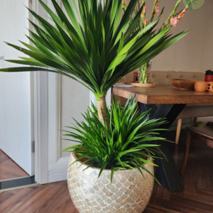 Alternative view of Handcrafted Mother of Pearl Planters –  Wholesale & Custom OEM/ODM Manufacturing